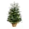 2ft. Pre-Lit Artificial Christmas Tree in Burlap Base, Warm White LED Lights